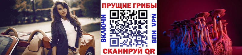 Купить  Чудово  Псилоцибиновые грибы прущие грибы 